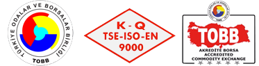 Logo yanı